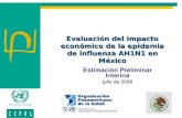 Evaluación del impacto económico de la epidemia de influenza AH1N1 en México Estimación Preliminar Interina julio de 2009.