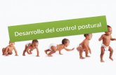 Desarrollo del control postural. Factores que influyen en el DESARROLLO DE HABILIDADES LOCOMOTRORMANIPULATORIOPOSTURAL.
