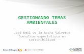 GESTIONANDO TEMAS AMBIENTALES José Emil De la Rocha Valverde Consultor especialista en sostenibilidad.