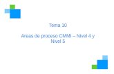Tema 10 Areas de proceso CMMI – Nivel 4 y Nivel 5.