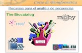© Copyright Ebiointel,SL 2006 Recursos para el análisis de secuencias The Biocatalog.