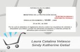 Laura Catalina Velasco Sindy Katherine Getial. Objeto Directrices para los rótulos o etiquetas de los envases o empaques de alimentos para evitar engaño.