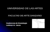 UNIVERSIDAD DE LAS ARTES FACULTAD DE ARTE DANZARIO Conferencia de Kinesiología Lesiones en danza.