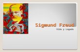 Sigmund Freud Vida y Legado. Biografía Freud Sigmund. Freud Sigmund. ◦Médico austríaco ◦(Freiberg, hoy Pribor, Moravia 1856 - Londres 1939 ◦Nació en una.