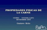 PROPIEDADES FISICAS DE LA CARNE CURSO UCUDAL-LATU SETIEMBRE 2005 Gustavo Brito.