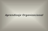 Aprendizaje Organizacional. Caso La Contaduría General de La Republica Y Caso ServiQ Presentado por : Cruz Kwame Solano Lopez.