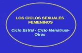 LOS CICLOS SEXUALES FEMENINOS Ciclo Estral - Ciclo Menstrual- Otros.