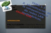 TEMA 1.1 A. Identificación de la infraestructura de redes LAN inalámbricas. FACILITADOR: FACILITADOR: Gabriela Morales Mújica PROYECCIÓN: 2 DE MARZO DE.