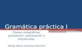 Gramática práctica I Claves ortográficas: puntuación, acentuación y mayúsculas. Nélida María Montoya Ramírez.