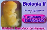 INTRODUCCIÓN AL DESARROLLO EMBRIONARIO Llamamos desarrollo embrionario a la serie de cambios que experimenta el huevo o cigoto para formar el embrión.