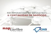 RECUPERACIÓN DE DESASTRES & CONTINUIDAD DE NEGOCIOS.