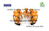 Análisis de trabajo con Indicadores Básicos MES LIZBETH PAULINA PADRON AKE México, DF, junio 2015.