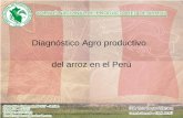 Diagnóstico Agro productivo del arroz en el Perú.