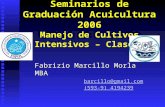 Seminarios de Graduación Acuicultura 2006 Manejo de Cultivos Intensivos – Clase 2 Fabrizio Marcillo Morla MBA barcillo@gmail.com (593-9) 4194239 (593-9)