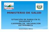 MINISTERIO DE SALUD SITUACIÓN DE RABIA EN EL SALVADOR Y CAMPAÑA DE VACUNACIÓN ANTIRRABICA NOVIEMBRE 2011.