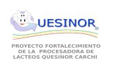 PROYECTO FORTALECIMIENTO DE LA PROCESADORA DE LACTEOS QUESINOR CARCHI.