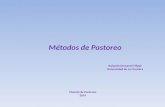 Métodos de Pastoreo Rolando Demanet Filippi Universidad de La Frontera Manejo de Pastoreo 2014.