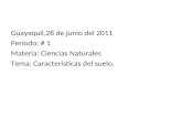 Guayaquil,28 de junio del 2011 Período: # 1 Materia: Ciencias Naturales Tema: Características del suelo.