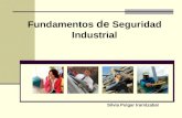 Silvia Pulgar Irarrázabal Fundamentos de Seguridad Industrial.