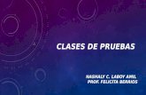 CLASES DE PRUEBAS NASHALY C. LABOY AMIL PROF. FELICITA BERRIOS.