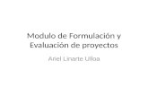 Modulo de Formulación y Evaluación de proyectos Ariel Linarte Ulloa.