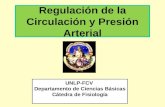 Regulación de la Circulación y Presión Arterial UNLP-FCV Departamento de Ciencias Básicas Cátedra de Fisiología.