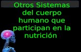 Otros Sistemas del cuerpo humano que participan en la nutrición.