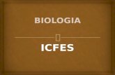 ICFES.   Busca conocer la capacidad para establecer relaciones entre conceptos de la biología, utilizando su capacidad crítica para identificar contradicciones.