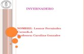 I NVERNADERO NOMBRE: Leonor Fernández Curso:6 to A Profesora: Carolina Gonzales.