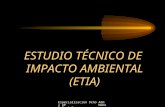 Especializacion Dcho Adm y AP Mabel Daniele ESTUDIO TÉCNICO DE IMPACTO AMBIENTAL (ETIA)
