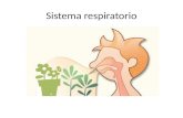 Sistema respiratorio. Respiración La respiración es un proceso involuntario y automático, en que se extrae el oxígeno del aire inspirado y se expulsan.