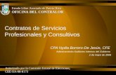 Contratos de Servicios Profesionales y Consultivos CPA Nydia Borrero-De Jesús, CFE Adiestramiento Auditores Internos del Gobierno 2 de mayo de 2008 Estado.