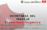 SECRETARIA DEL TRABAJO Estructura Orgánica Nombre del servidor público que genera y actualiza la información: Lic. Julio Alonso Cortés Martínez. Nombre.