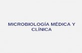 MICROBIOLOGÍA MÉDICA Y CLÍNICA. Microbiología Concepto.