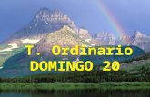 T. Ordinario DOMINGO 20 T. Ordinario DOMINGO 20 SALMO (33) SALMO (33) Gustad y ved qué bueno es el Señor. Gustad y ved qué bueno es el Señor.