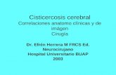 Cisticercosis cerebral Correlaciones anatomo clínicas y de imágen Cirugía Dr. Efrén Herrera M FRCS Ed. Neurocirujano Hospital Universitario BUAP 2003.