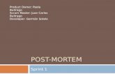 POST-MORTEM Sprint 1 Product Owner: Paola Buitrago Scrum Master: Juan Carlos Buitrago Developer: Germán Sotelo.