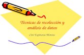 Técnicas de recolección y análisis de datos Ciro Espinoza Montes.