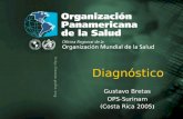 Organización Panamericana de la Salud Costa Rica 20051 Diagnóstico Gustavo Bretas OPS-Surinam ) (Costa Rica 2005 ) Diagnóstico Gustavo Bretas OPS-Surinam.