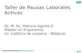 1 Taller de Pausas Laborales Activas Dr. M. Sc. Patricio Agurto E. Máster en Ergonomía (U. Católica de Lovaina – Bélgica)