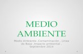 MEDIO AMBIENTE Medio Ambiente,Contaminación, Línea de Base,Impacto ambiental, Septiembre 2014.