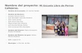 Nombre del proyecto:  Mi Escuela Libre de Perros Callejeros.