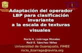 Adaptación del operador LBP para clasificación invariante a la escala de texturas visuales