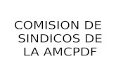 COMISION DE SINDICOS DE LA AMCPDF