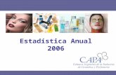 Estadística Anual 2006