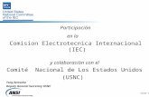 Participación en la Comision Electrotecnica Internacional (IEC) y  colaboración con el