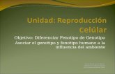 Unidad: Reproducción  C elúlar