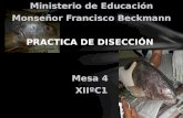 Ministerio de Educación Monseñor Francisco Beckmann Practica de Disección  Mesa 4  XIIºC1