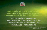 SECRETARÍA DE ESTADO DE MEDIO AMBIENTE Y RECURSOS NATURALES Subsecretaría de Gestión Ambiental