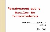Pseudomonas  spp y  Bacilos No fermentadores